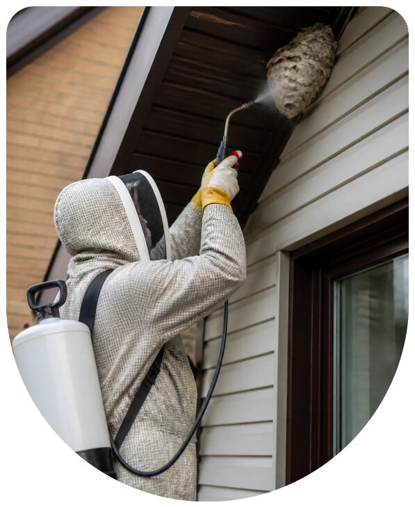 Профессиональное уничтожение шмелей на участке в Северодвинске